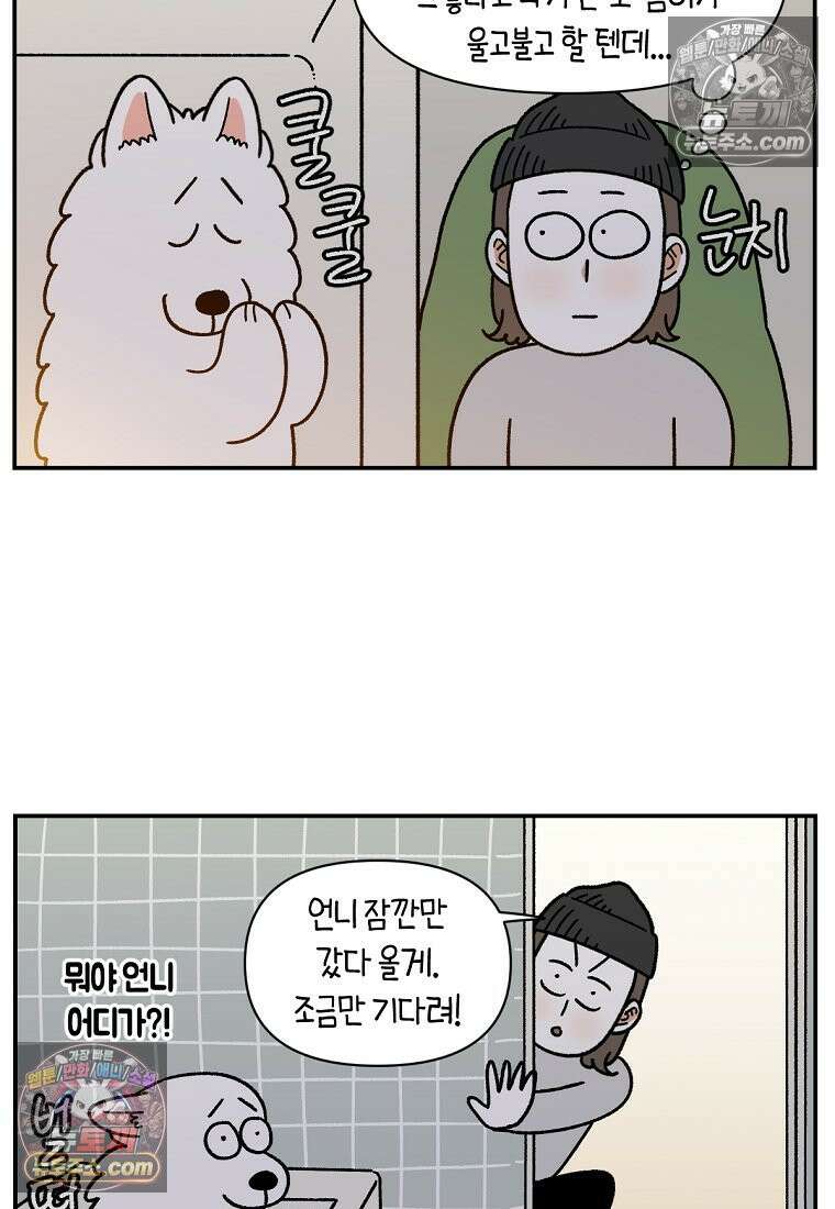 극한견주 시즌2 72화 천둥번개 제발 멈춰 11