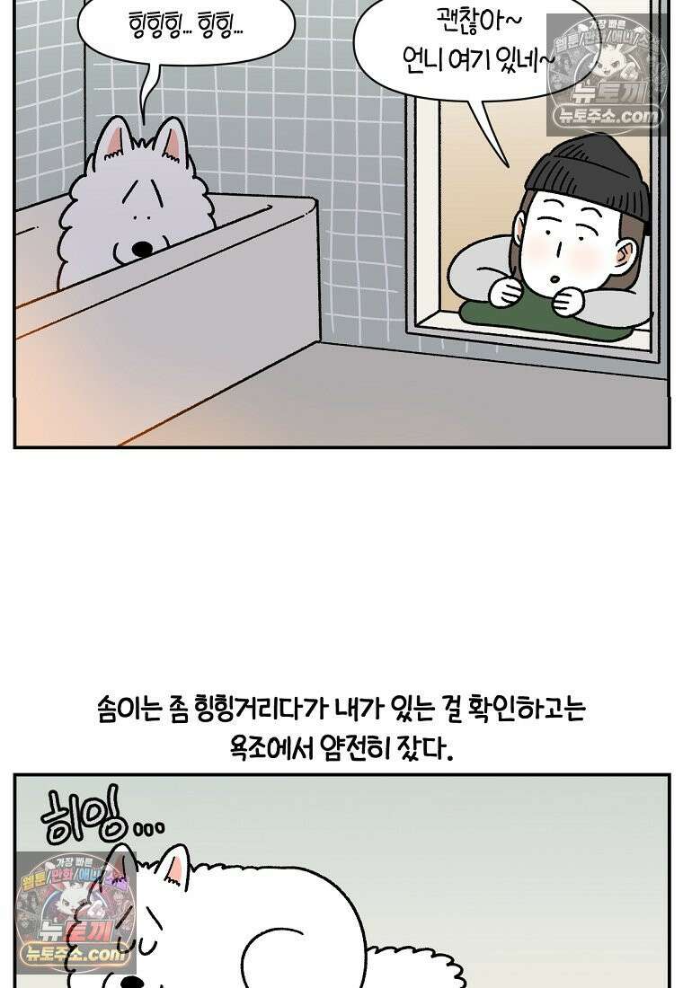 극한견주 시즌2 72화 천둥번개 제발 멈춰 14