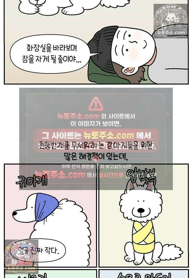 극한견주 시즌2 72화 천둥번개 제발 멈춰 15