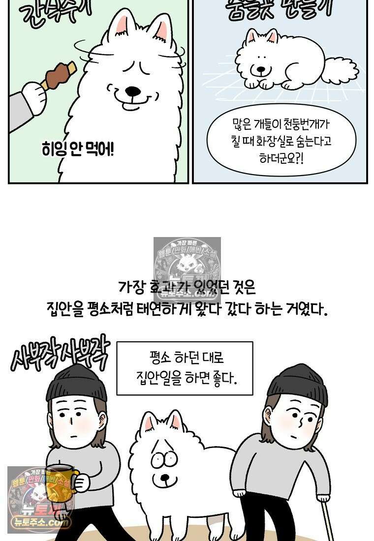 극한견주 시즌2 72화 천둥번개 제발 멈춰 16