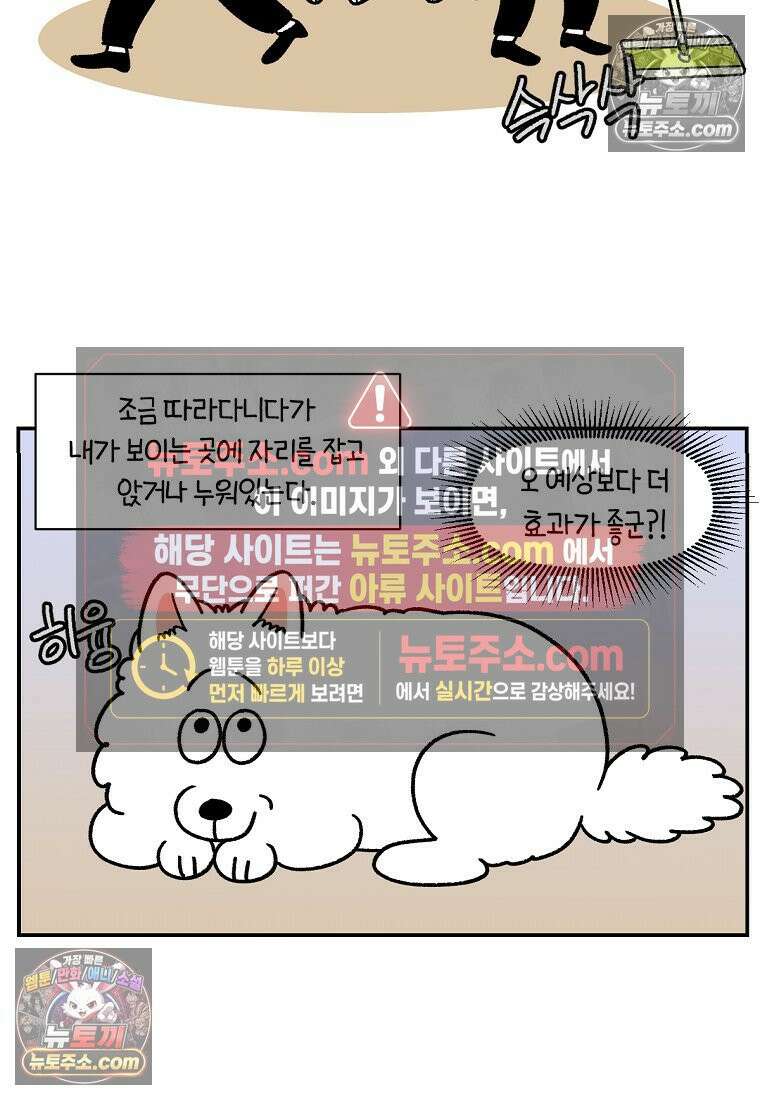 극한견주 시즌2 72화 천둥번개 제발 멈춰 17
