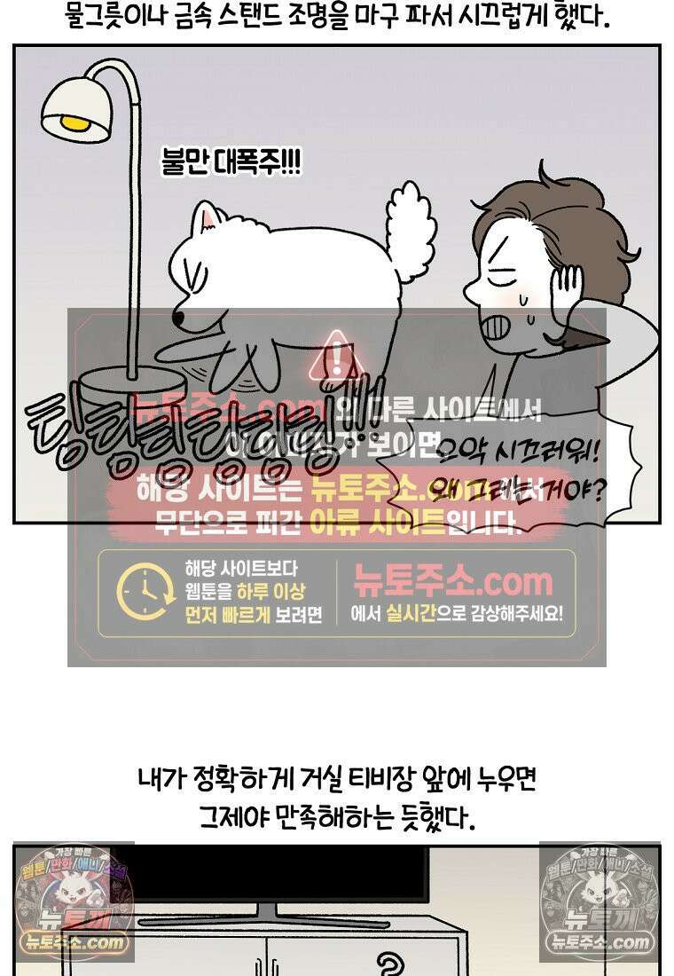 극한견주 시즌2 72화 천둥번개 제발 멈춰 23