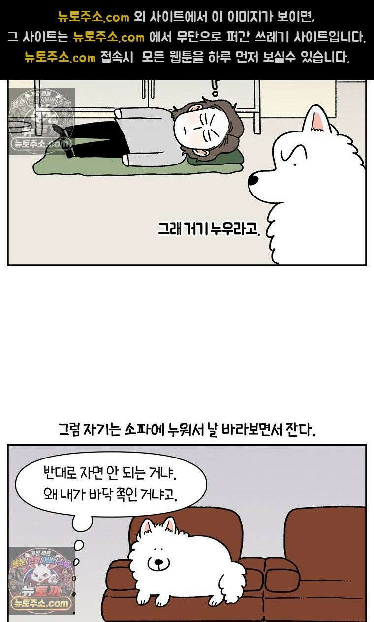 극한견주 시즌2 72화 천둥번개 제발 멈춰 24