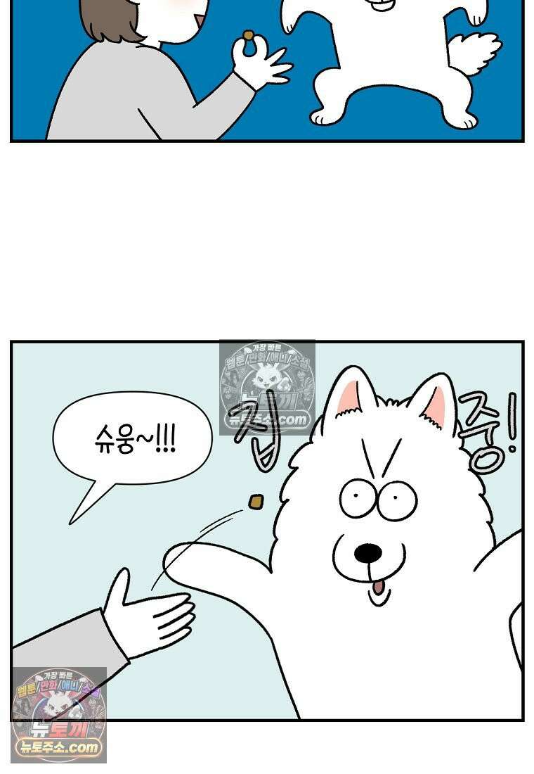 극한견주 시즌2 77화 간식 받아먹기 3