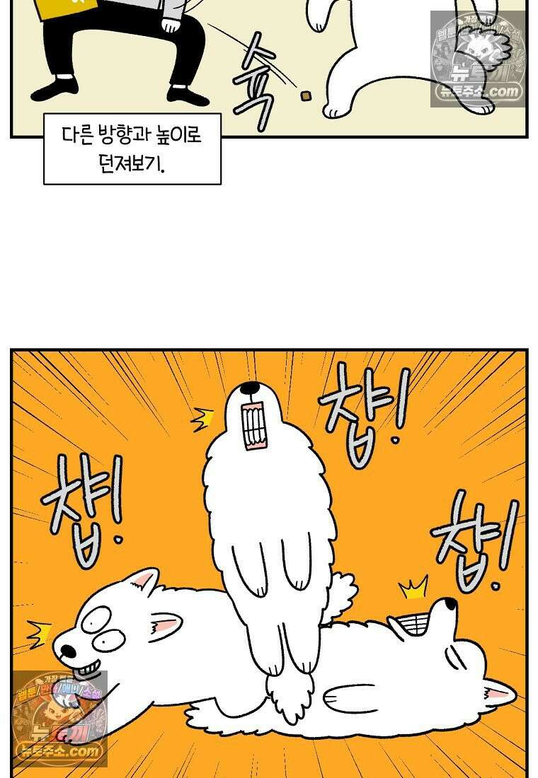 극한견주 시즌2 77화 간식 받아먹기 6