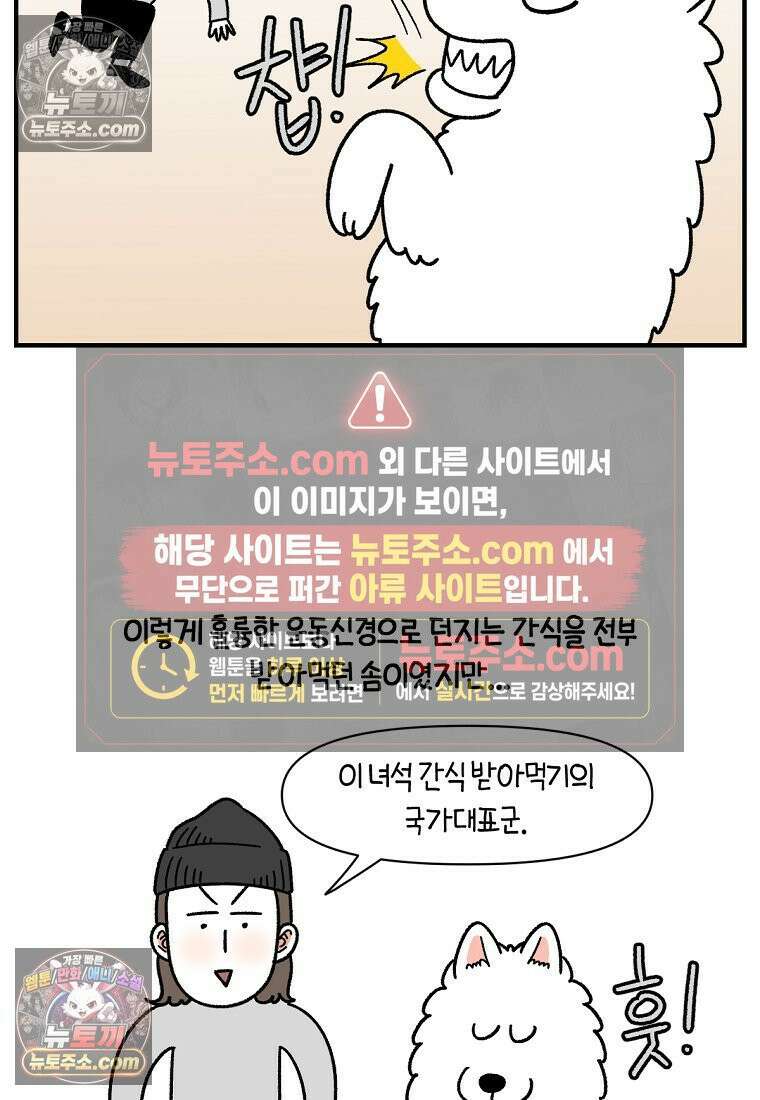 극한견주 시즌2 77화 간식 받아먹기 9