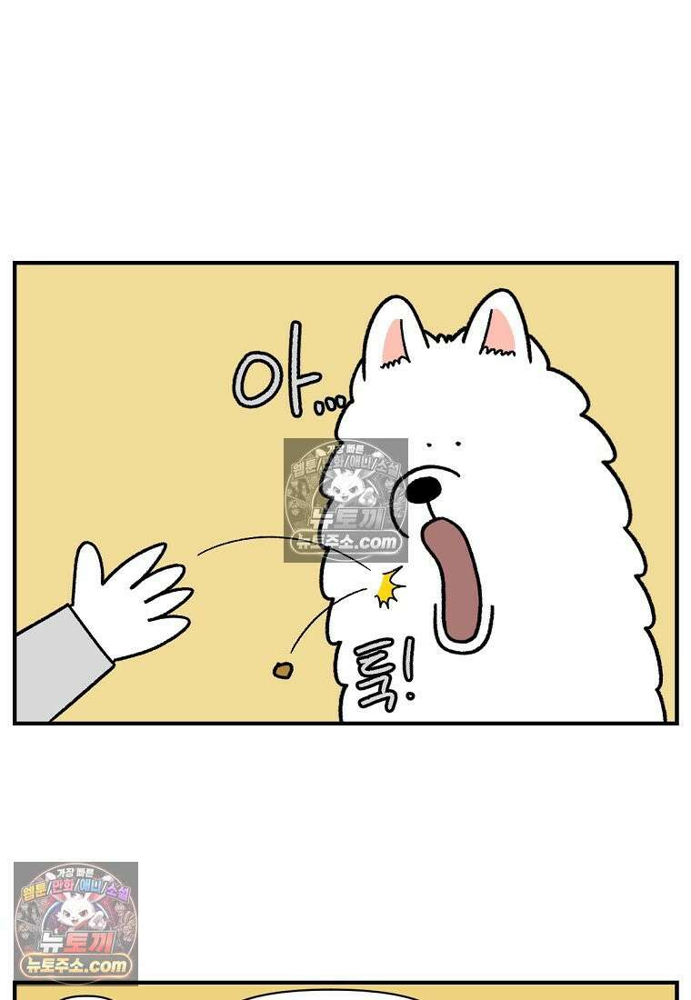 극한견주 시즌2 77화 간식 받아먹기 11