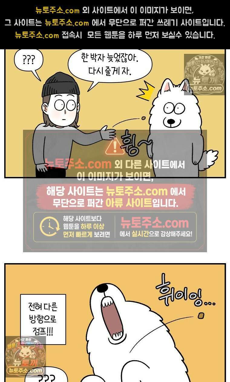극한견주 시즌2 77화 간식 받아먹기 12
