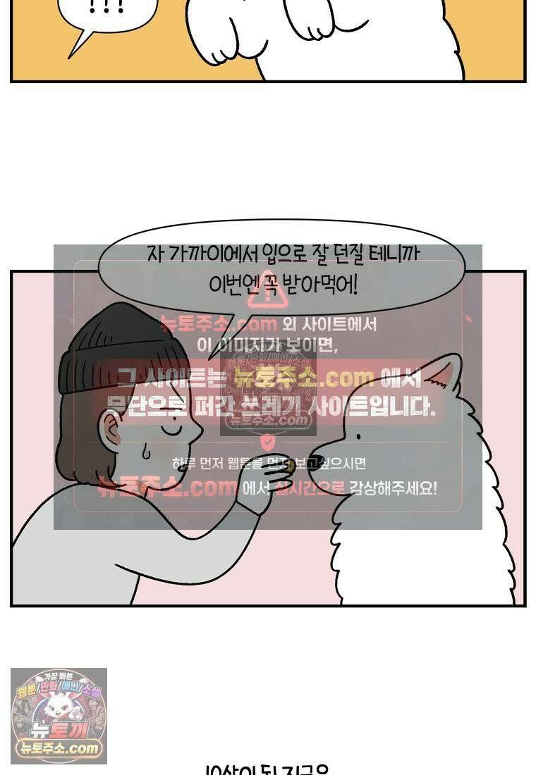 극한견주 시즌2 77화 간식 받아먹기 13