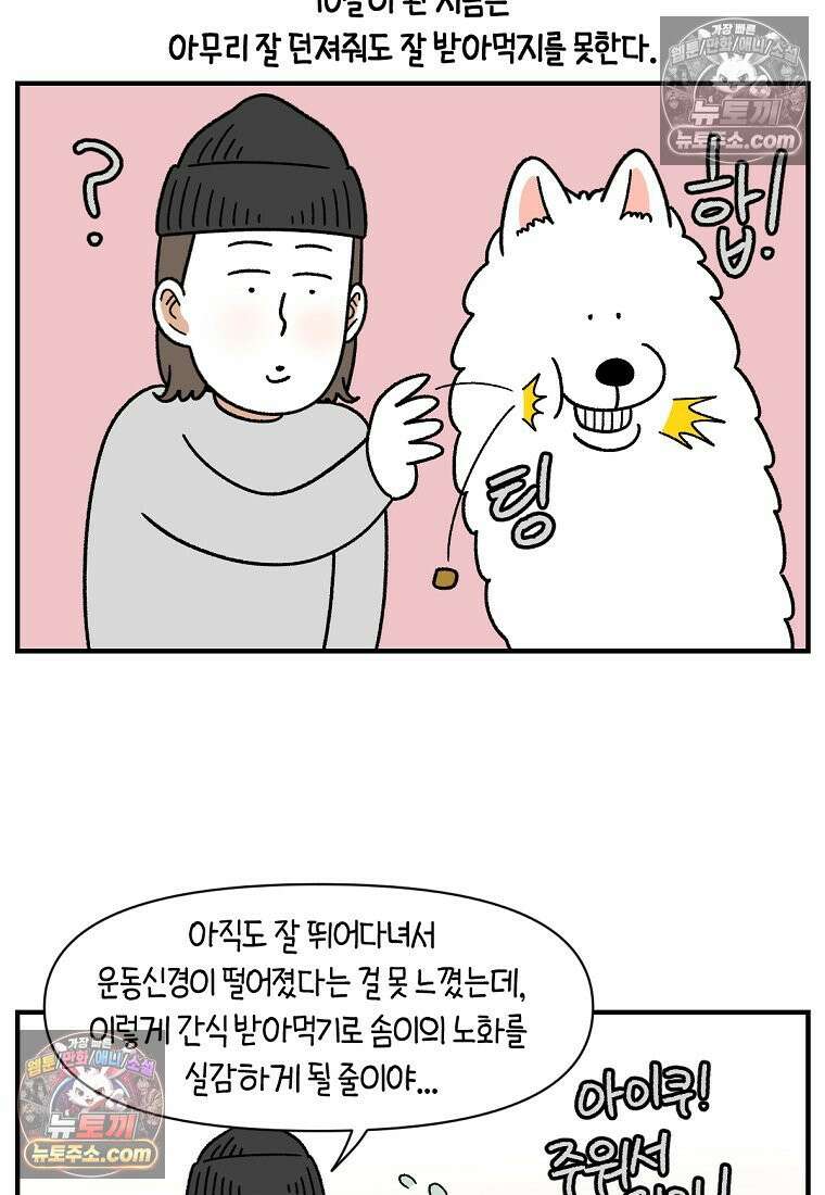 극한견주 시즌2 77화 간식 받아먹기 14
