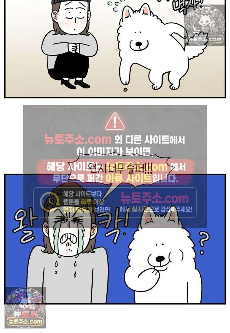 극한견주 시즌2 77화 간식 받아먹기 15