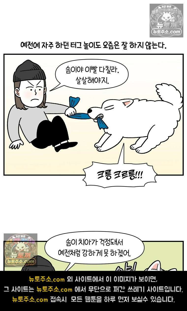 극한견주 시즌2 77화 간식 받아먹기 16