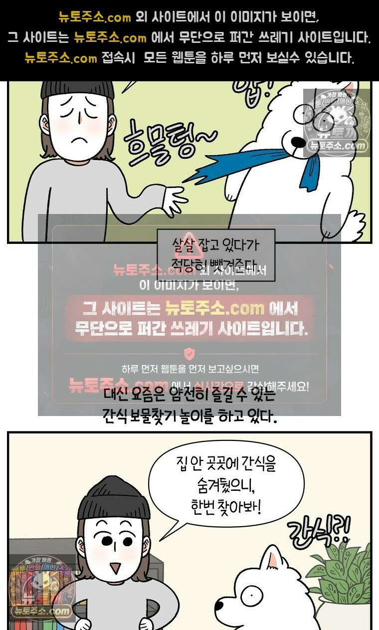극한견주 시즌2 77화 간식 받아먹기 17