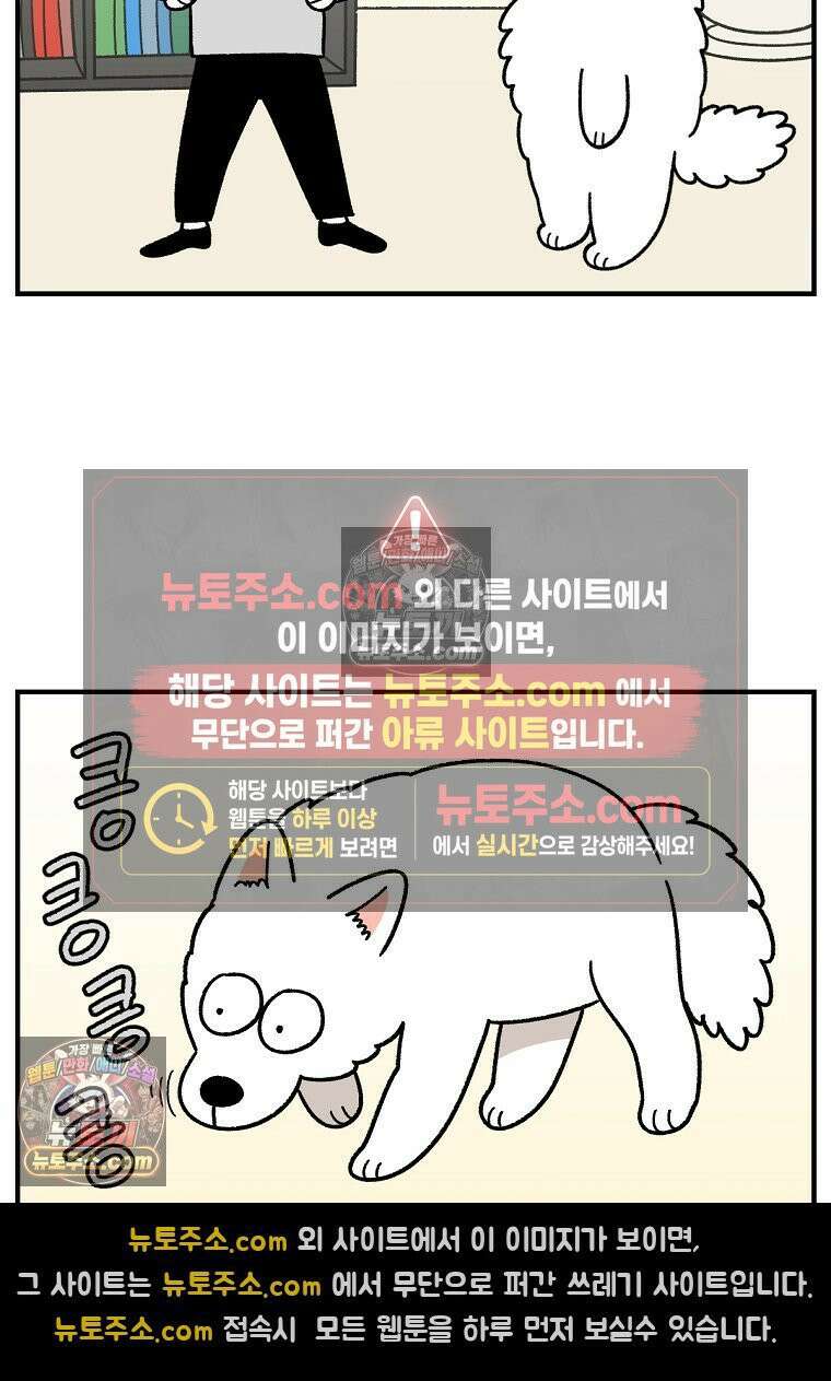 극한견주 시즌2 77화 간식 받아먹기 18
