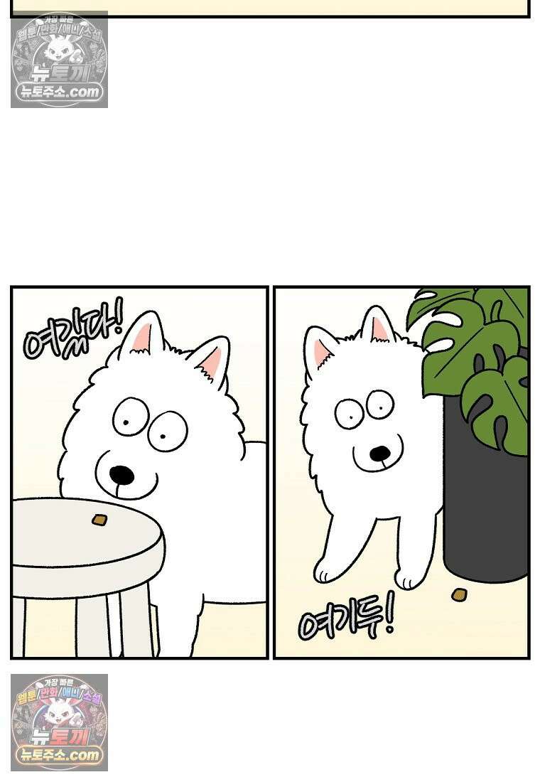 극한견주 시즌2 77화 간식 받아먹기 19