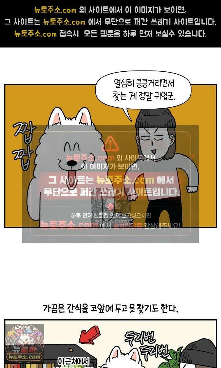 극한견주 시즌2 77화 간식 받아먹기 20