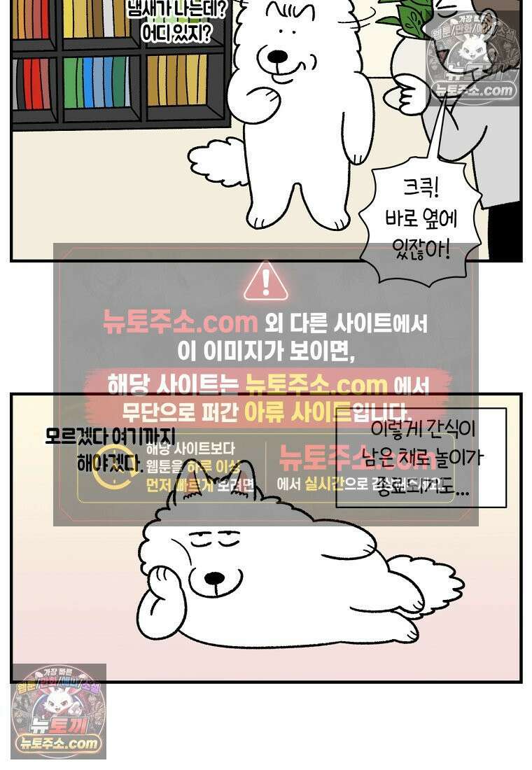 극한견주 시즌2 77화 간식 받아먹기 21