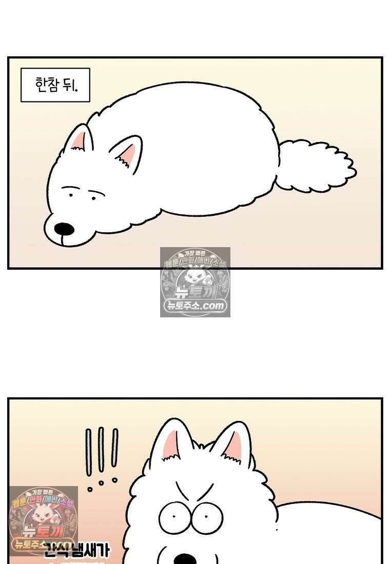 극한견주 시즌2 77화 간식 받아먹기 22