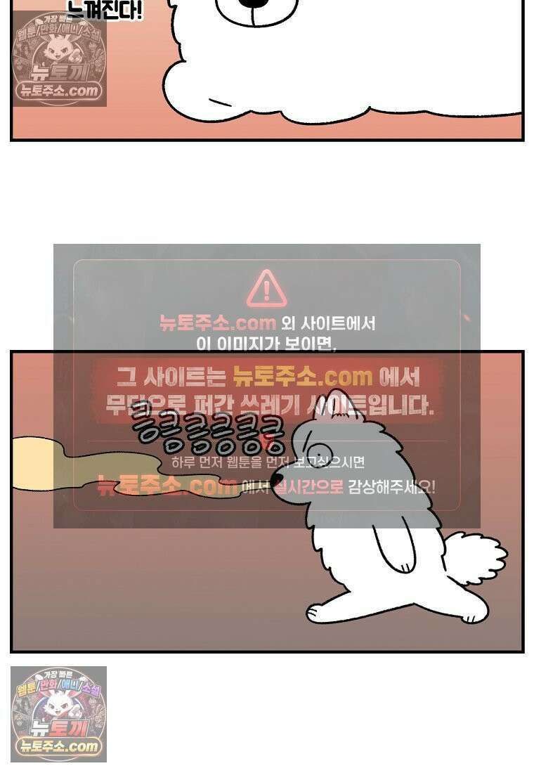 극한견주 시즌2 77화 간식 받아먹기 23