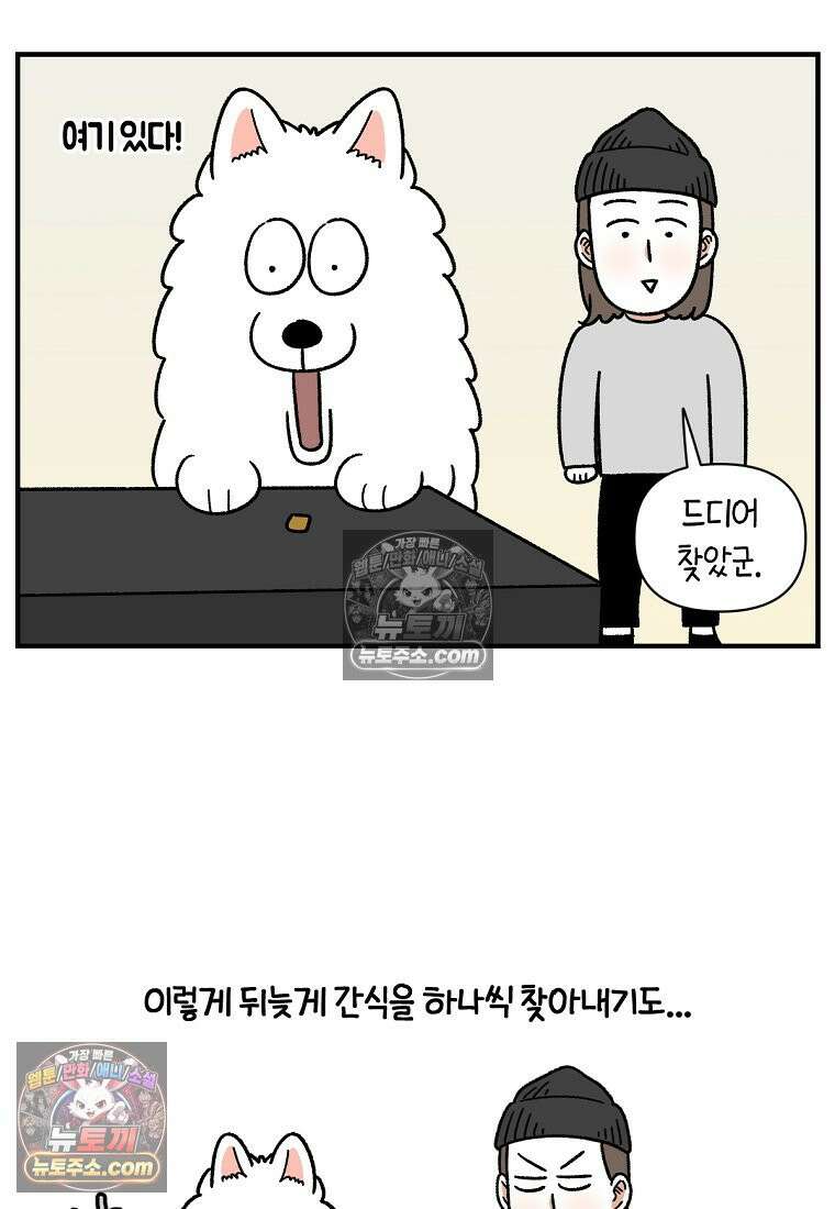극한견주 시즌2 77화 간식 받아먹기 24