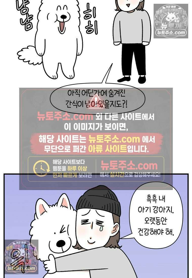 극한견주 시즌2 77화 간식 받아먹기 25