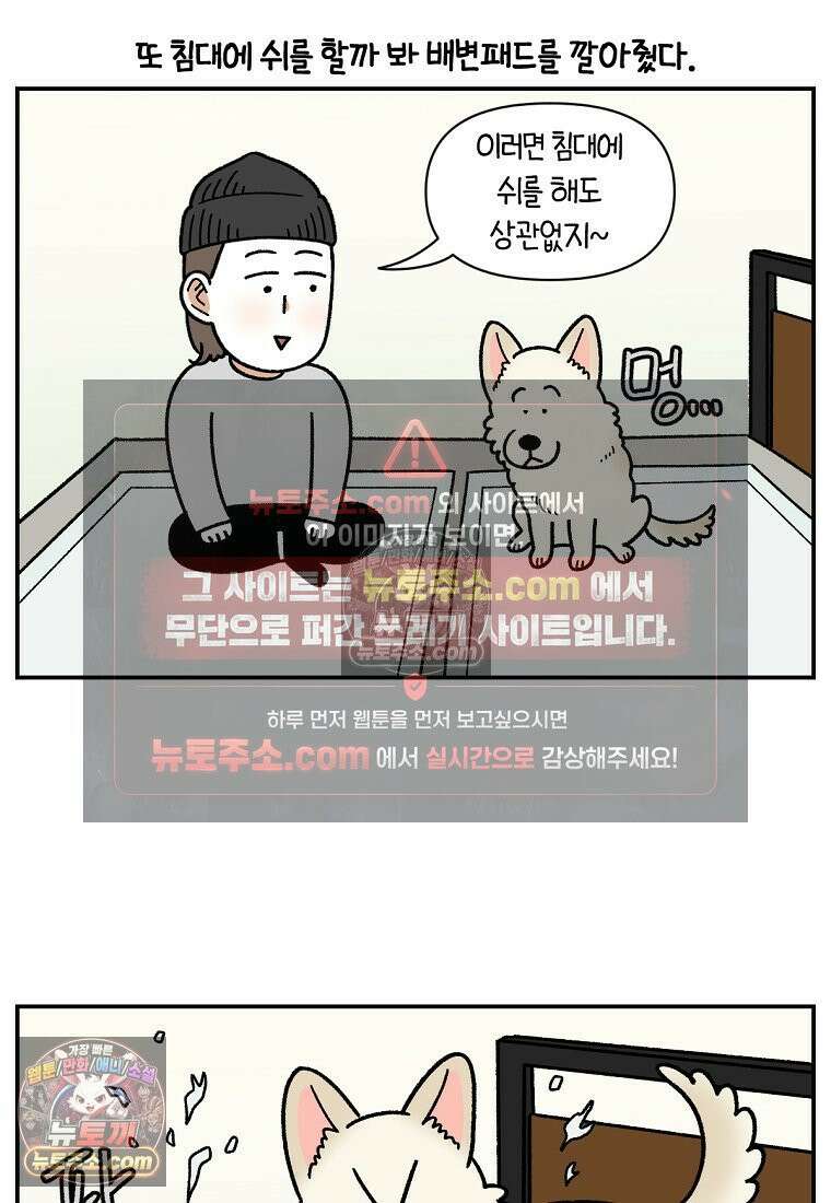 극한견주 시즌2 104화 성견 배변 훈련하기 2