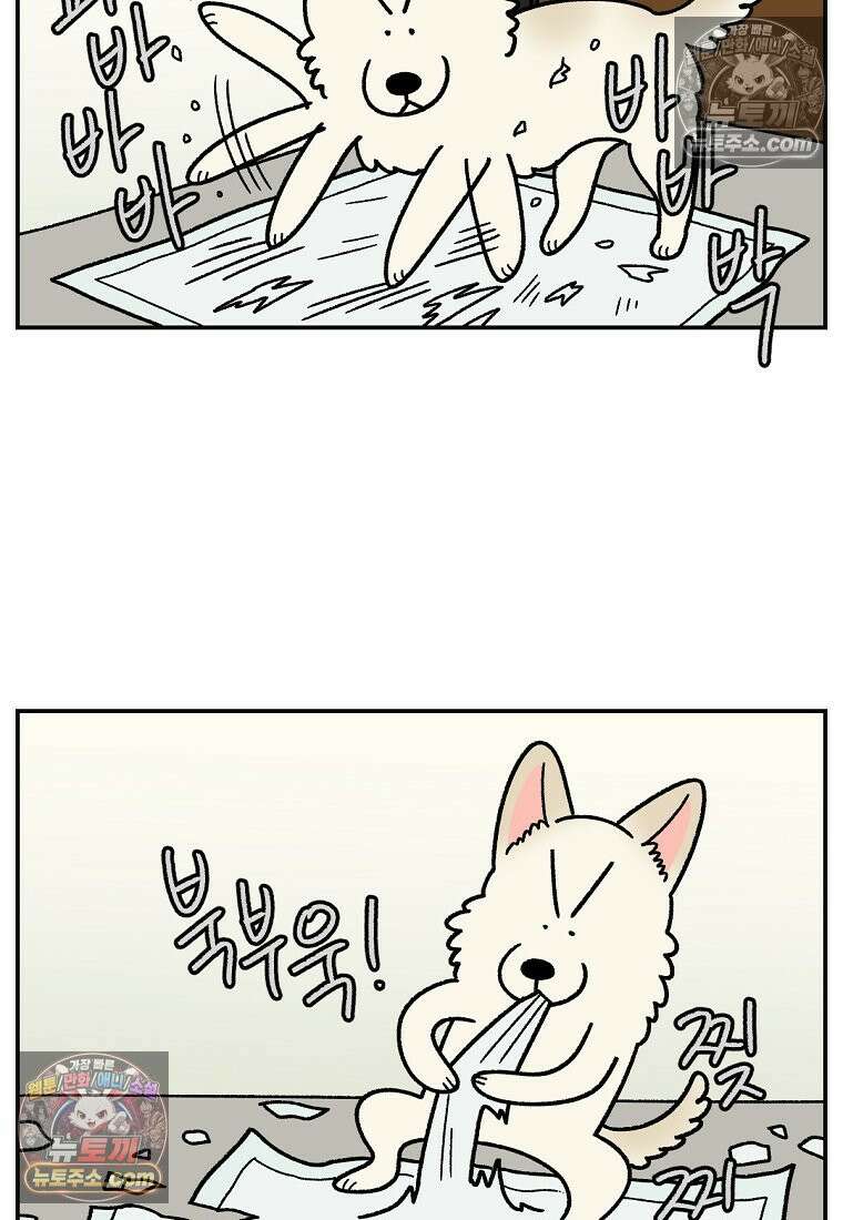 극한견주 시즌2 104화 성견 배변 훈련하기 3