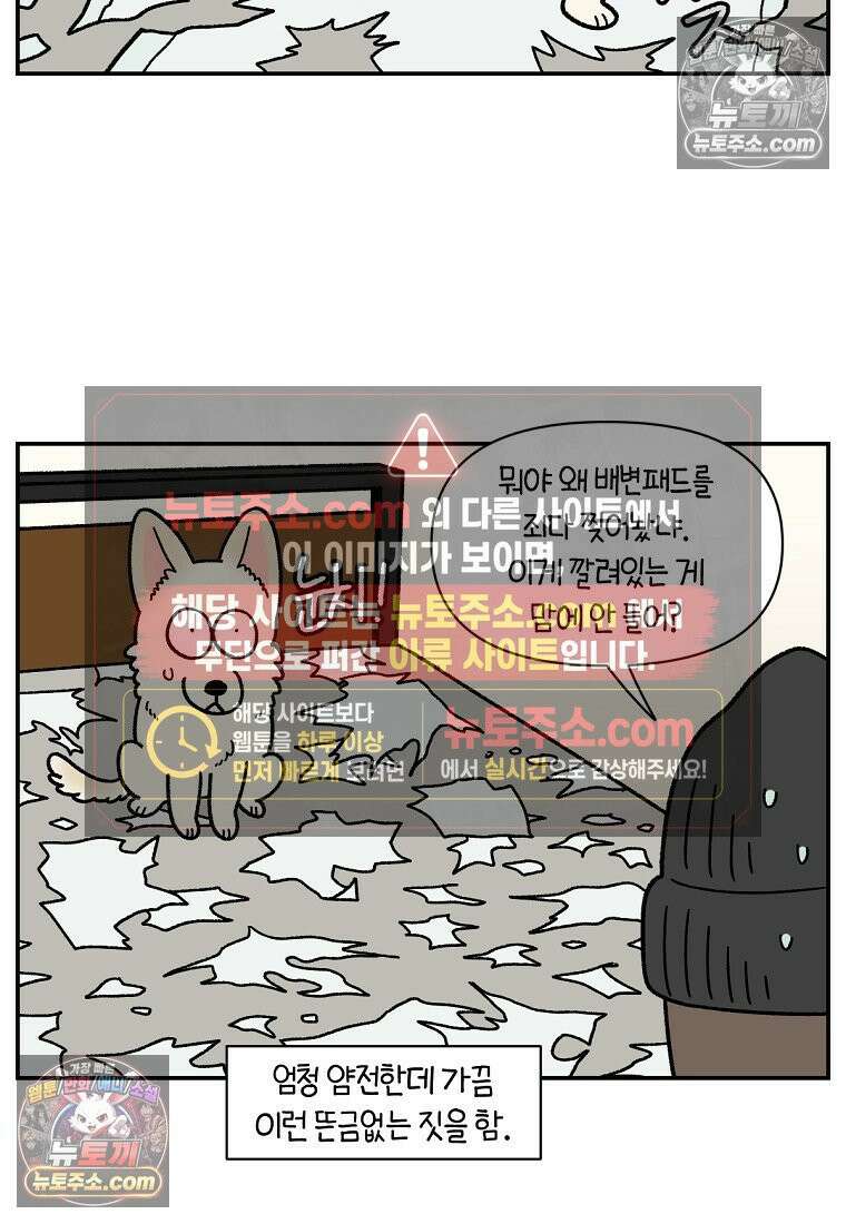 극한견주 시즌2 104화 성견 배변 훈련하기 4