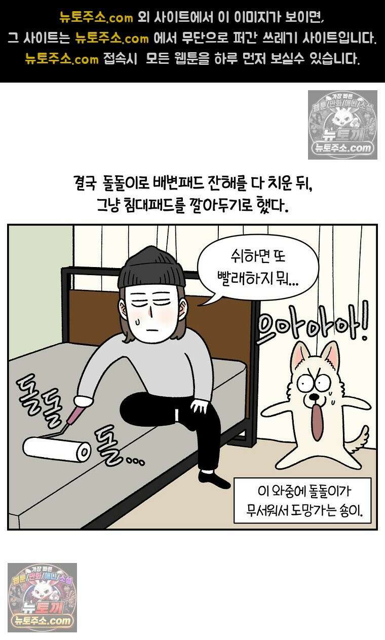 극한견주 시즌2 104화 성견 배변 훈련하기 5