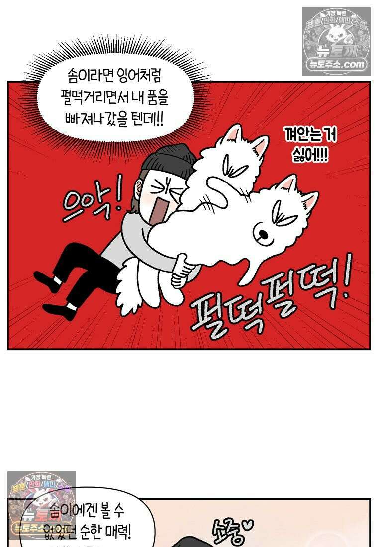 극한견주 시즌2 104화 성견 배변 훈련하기 10