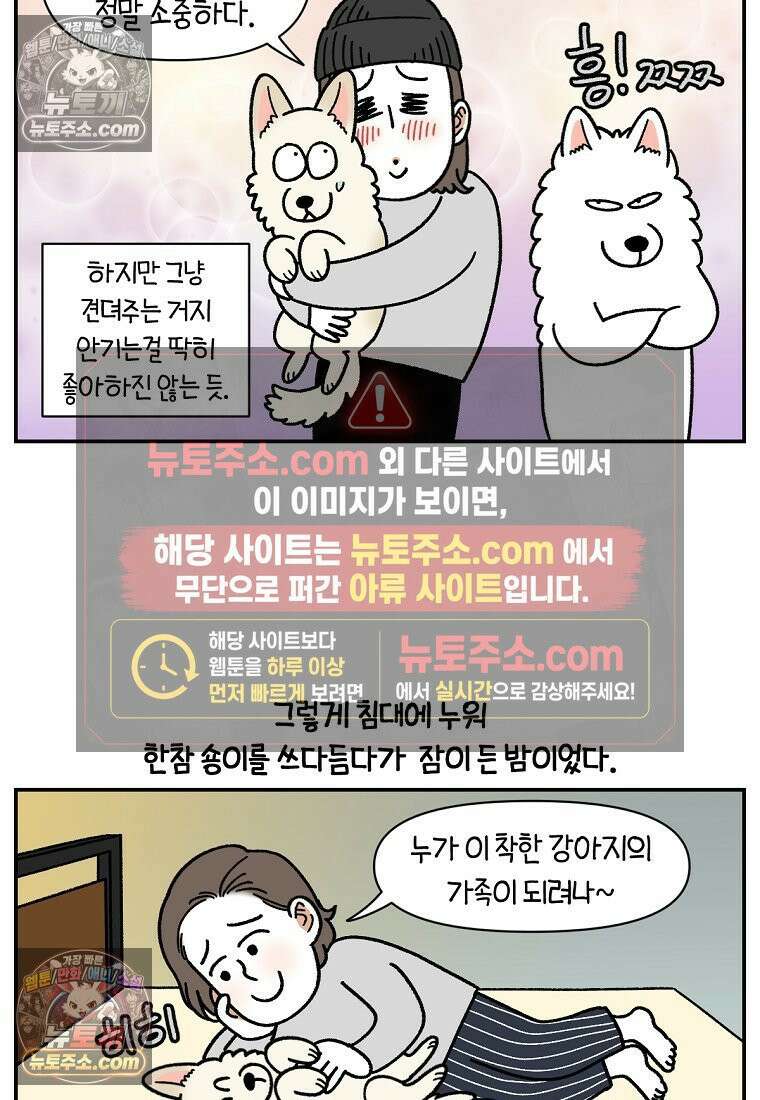 극한견주 시즌2 104화 성견 배변 훈련하기 11
