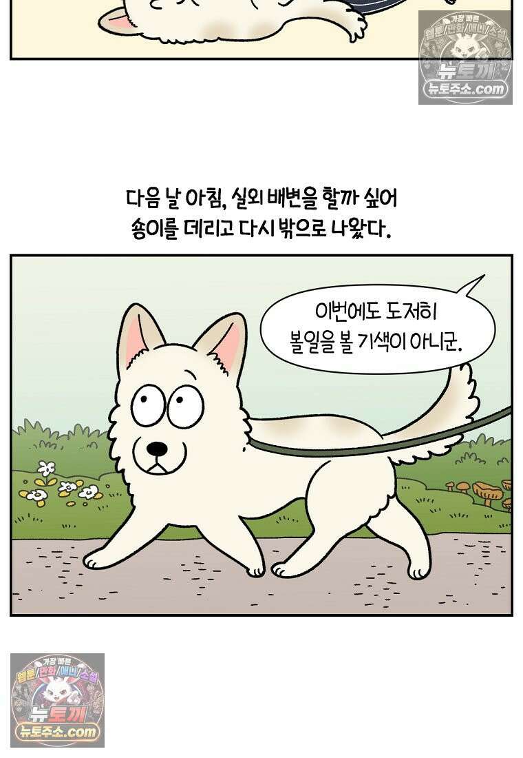 극한견주 시즌2 104화 성견 배변 훈련하기 12