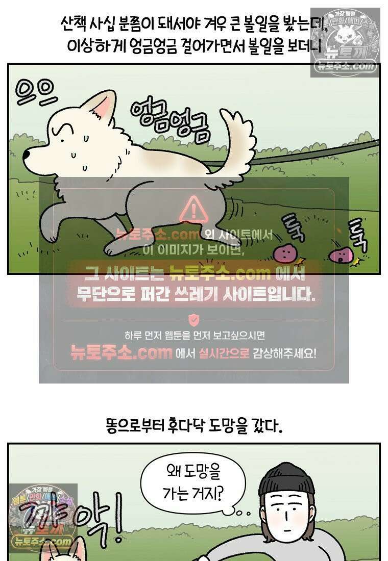 극한견주 시즌2 104화 성견 배변 훈련하기 13