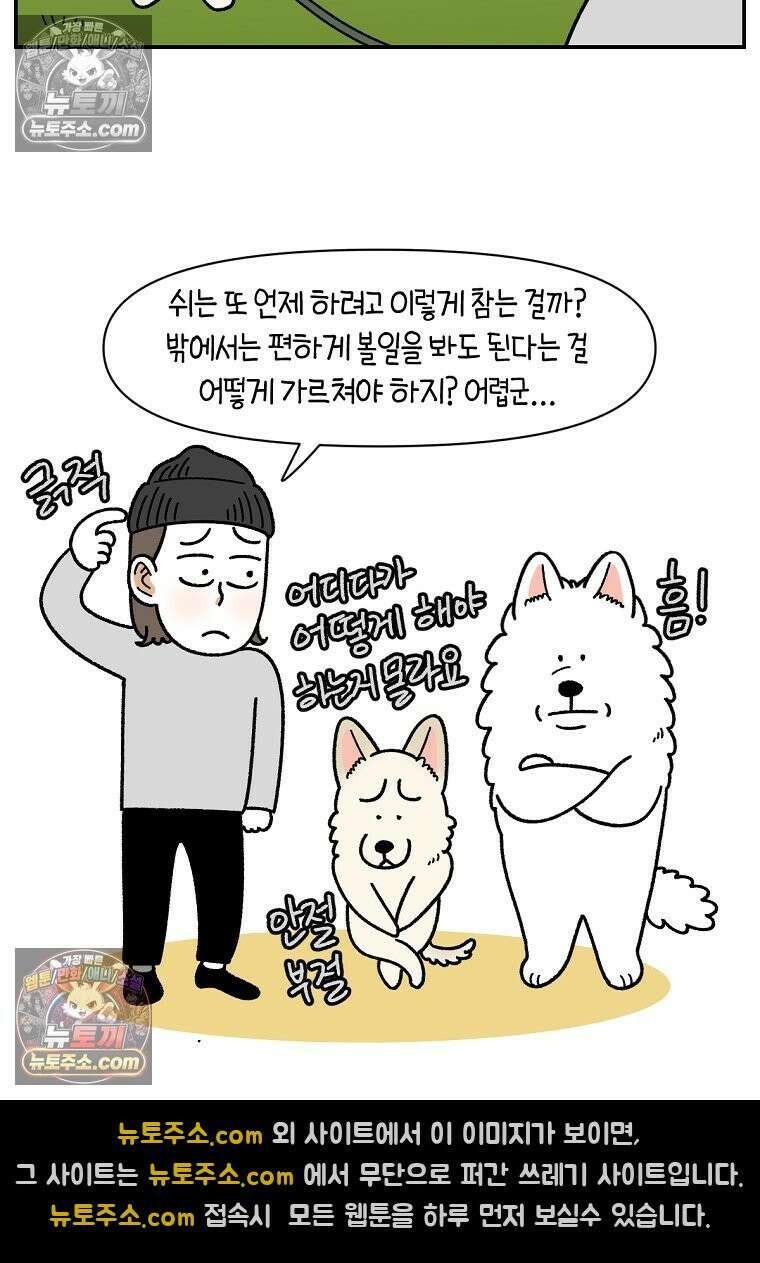 극한견주 시즌2 104화 성견 배변 훈련하기 15