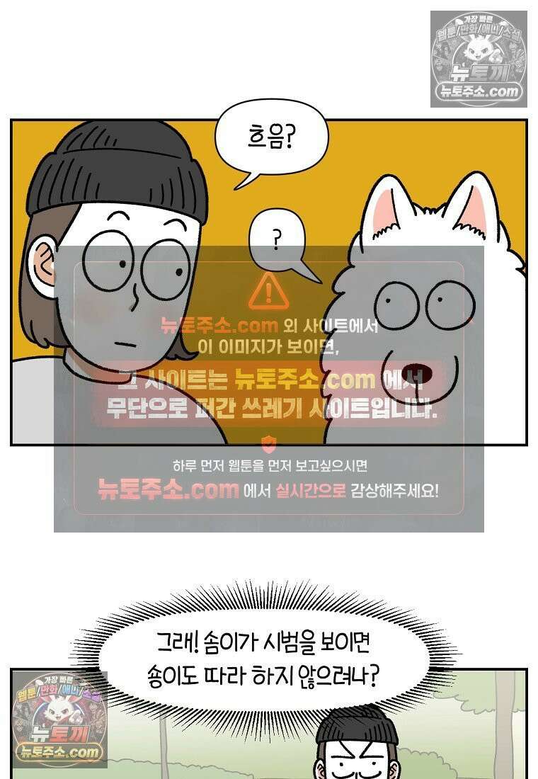 극한견주 시즌2 104화 성견 배변 훈련하기 16