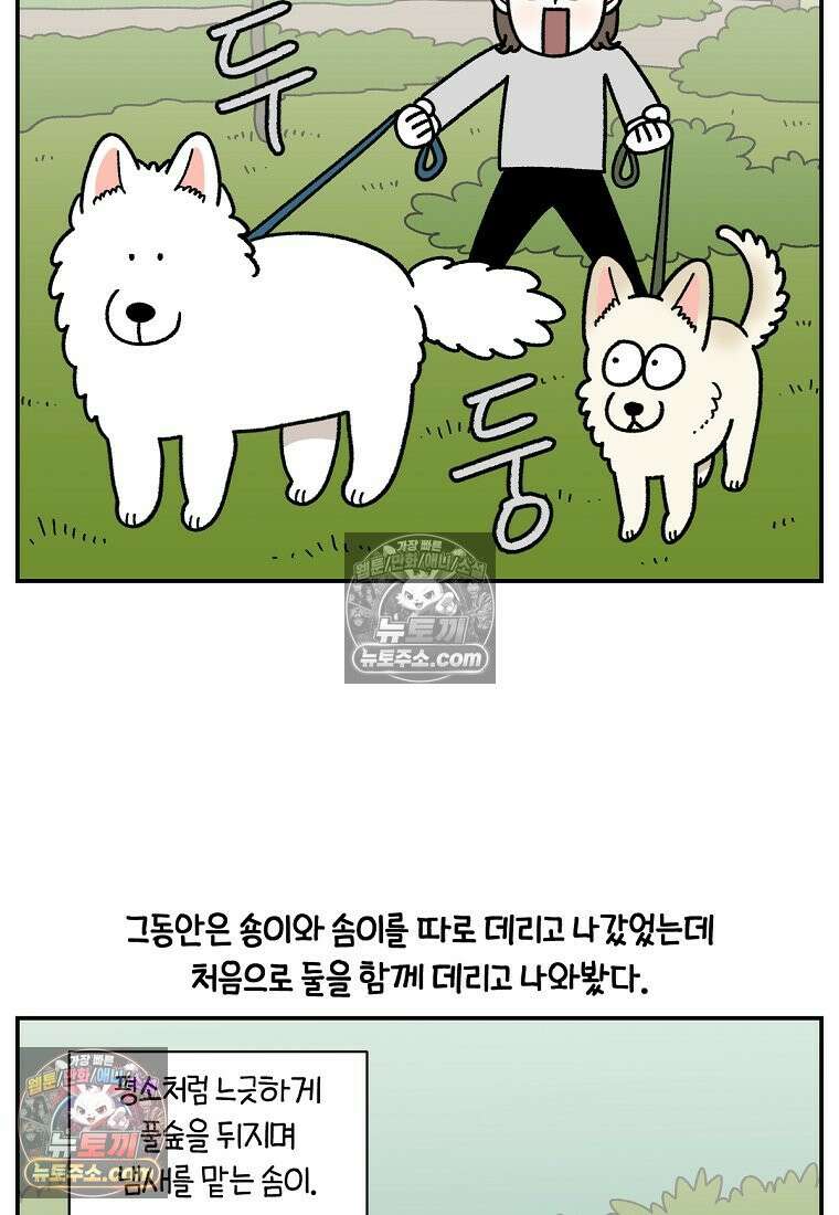 극한견주 시즌2 104화 성견 배변 훈련하기 17