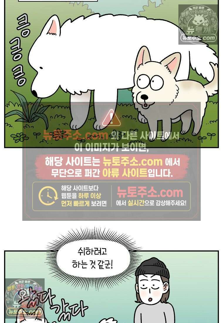 극한견주 시즌2 104화 성견 배변 훈련하기 18