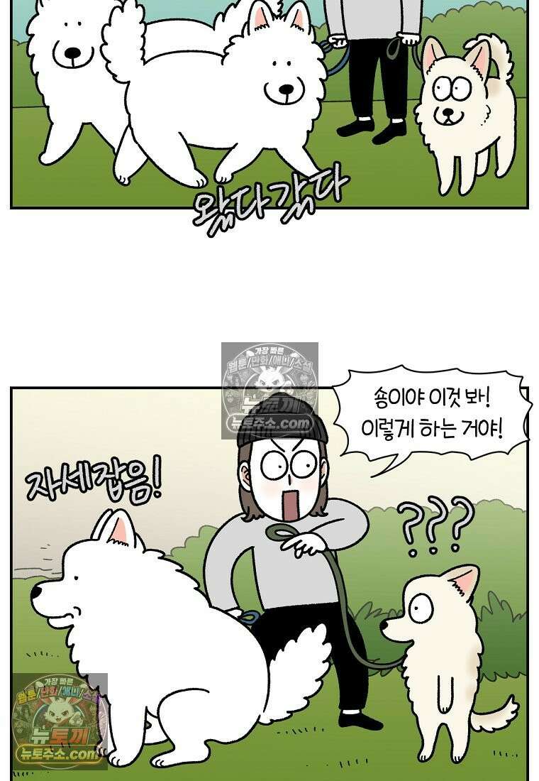 극한견주 시즌2 104화 성견 배변 훈련하기 19