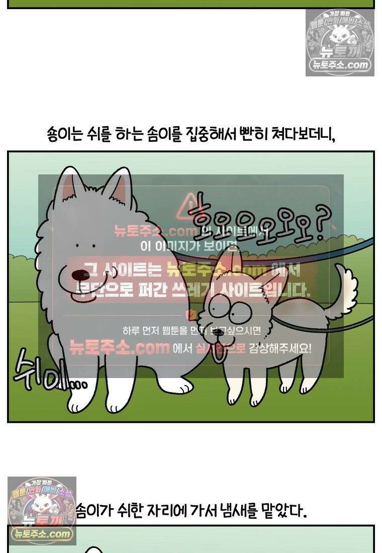 극한견주 시즌2 104화 성견 배변 훈련하기 20