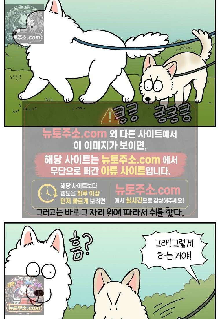 극한견주 시즌2 104화 성견 배변 훈련하기 21