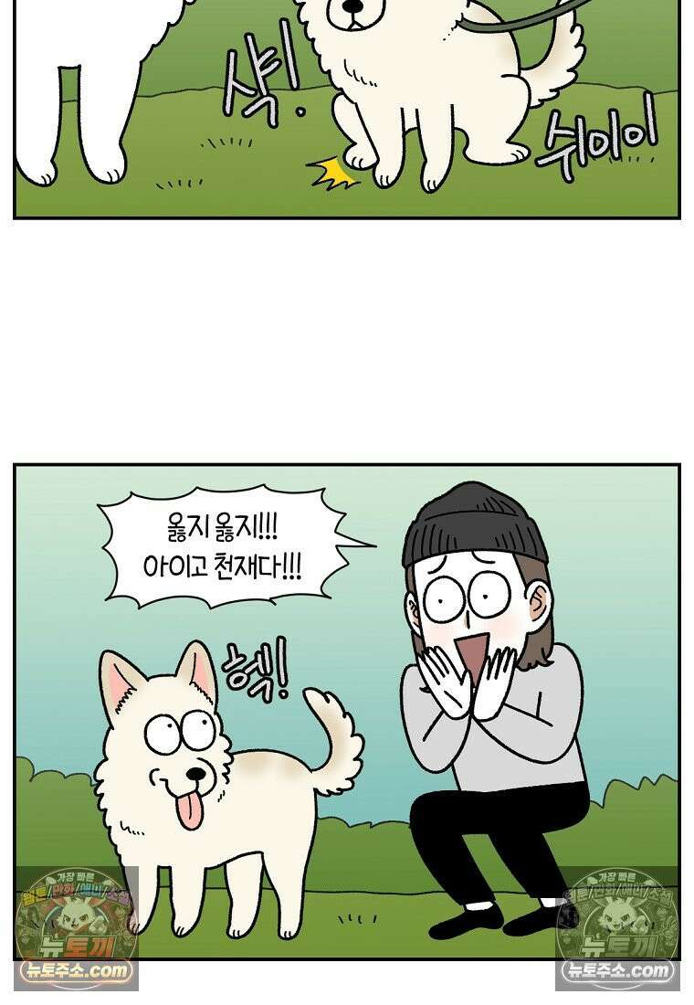 극한견주 시즌2 104화 성견 배변 훈련하기 22