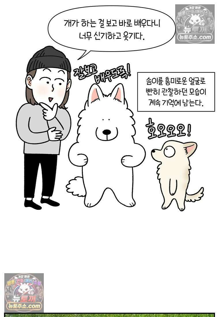 극한견주 시즌2 104화 성견 배변 훈련하기 26