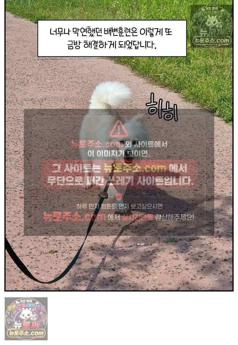 극한견주 시즌2 104화 성견 배변 훈련하기 27