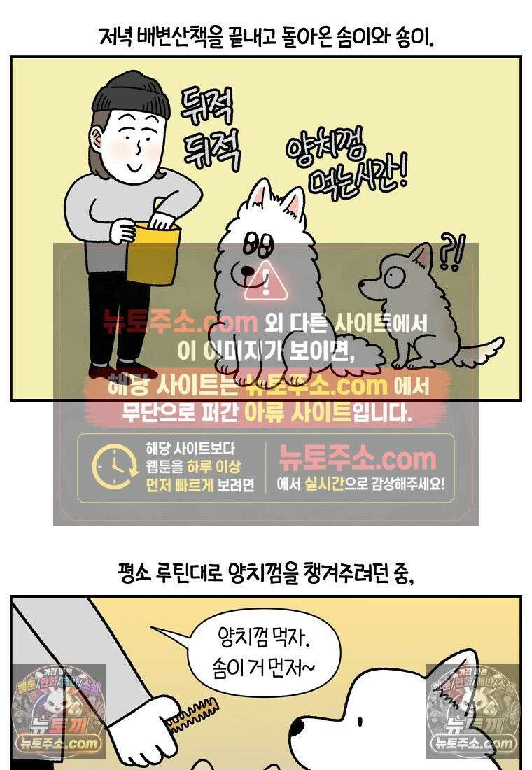 극한견주 시즌2 114화 숑이에게 빼앗기기 2