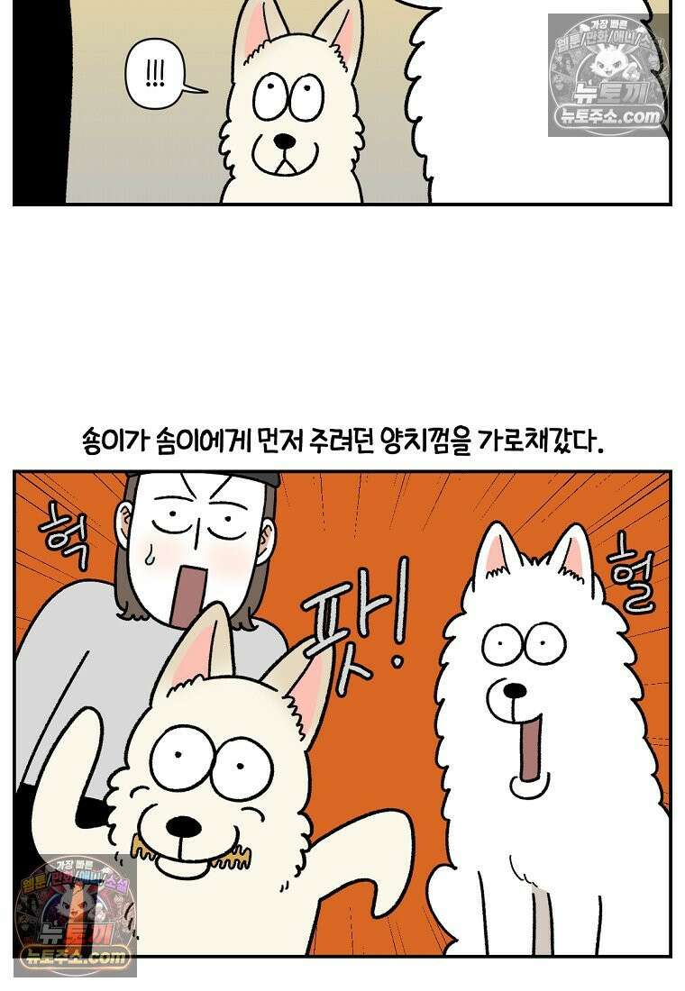 극한견주 시즌2 114화 숑이에게 빼앗기기 3