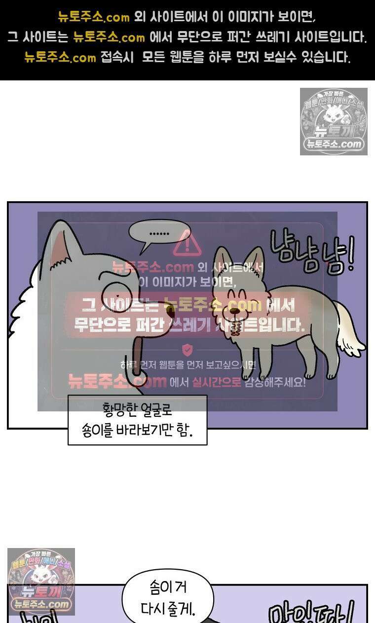 극한견주 시즌2 114화 숑이에게 빼앗기기 4