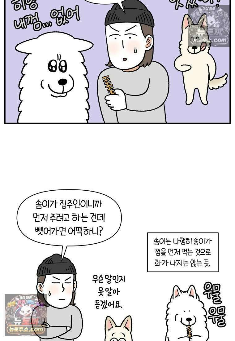 극한견주 시즌2 114화 숑이에게 빼앗기기 5
