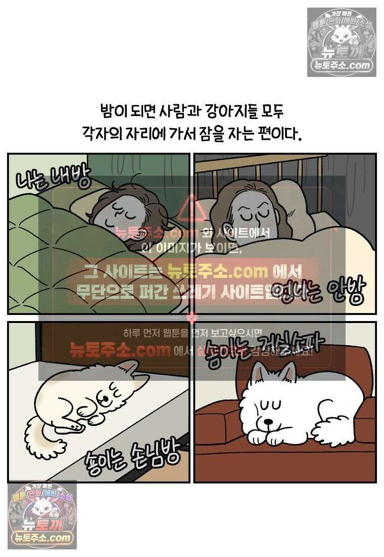 극한견주 시즌2 114화 숑이에게 빼앗기기 7