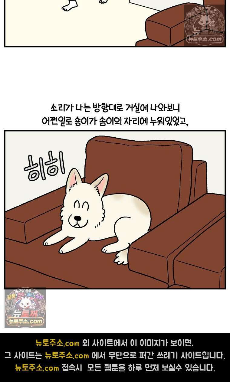 극한견주 시즌2 114화 숑이에게 빼앗기기 10