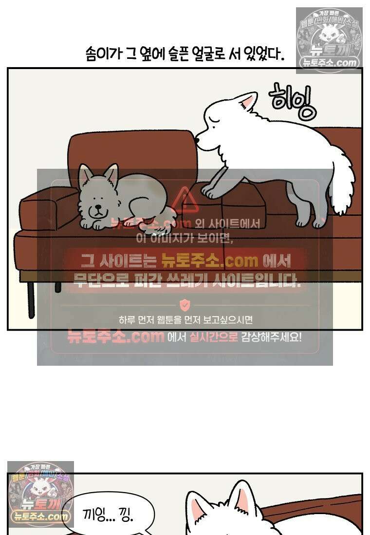 극한견주 시즌2 114화 숑이에게 빼앗기기 11